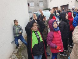 fasching 43